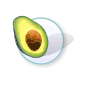 avocado