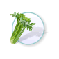 celery