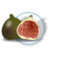 fig