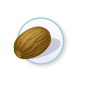 nutmeg